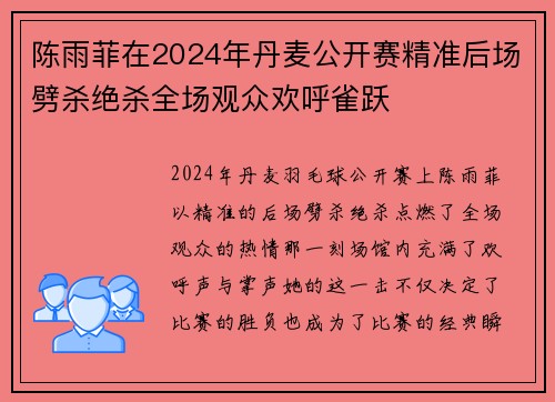 陈雨菲在2024年丹麦公开赛精准后场劈杀绝杀全场观众欢呼雀跃 陈雨菲在2024年丹麦公开赛精准后场劈杀绝杀全场观众欢呼雀跃